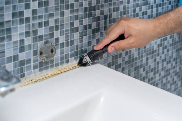 Professional Mold Removal in North Hornell, NY