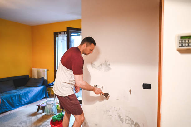 Best Crawl Space Mold Removal  in North Hornell, NY